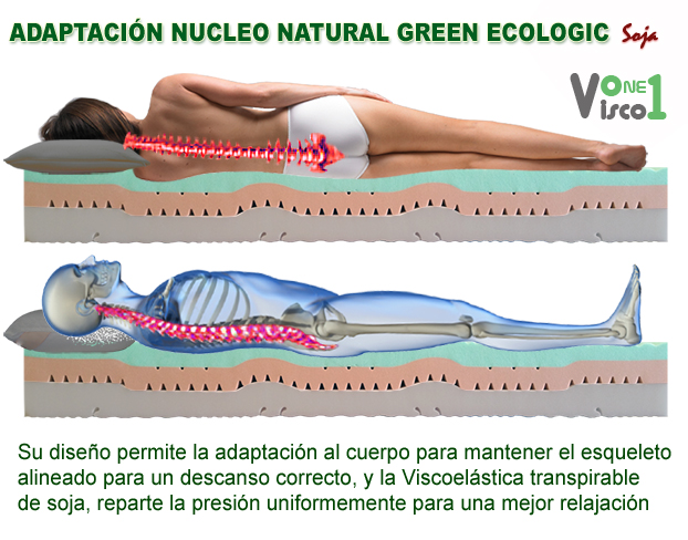 adaptacion colchon viscoeastico visco natural green ecologic soja.jpg